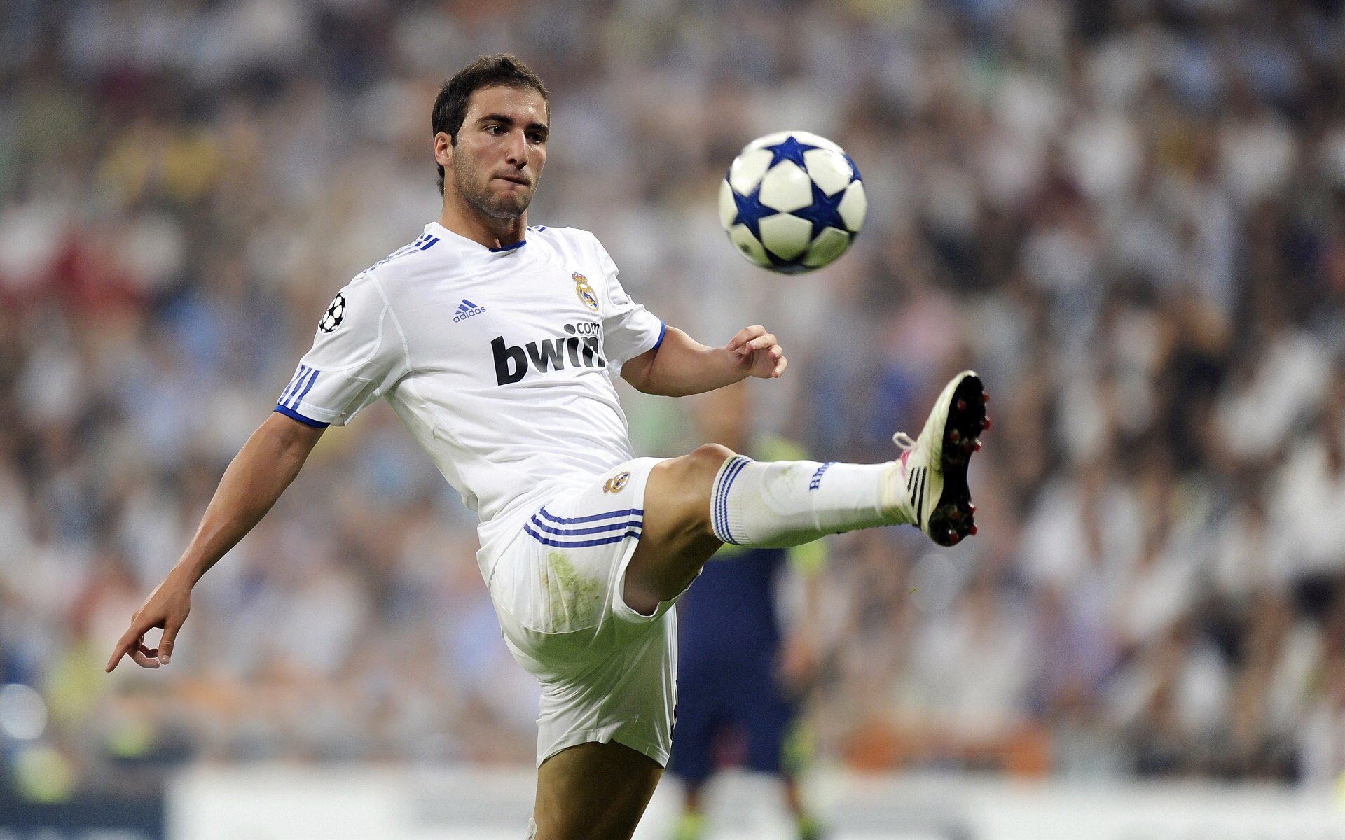 弗朗索瓦·霍尔茨豪伊泽：精准的拦截与传球，南非队的战术构建者